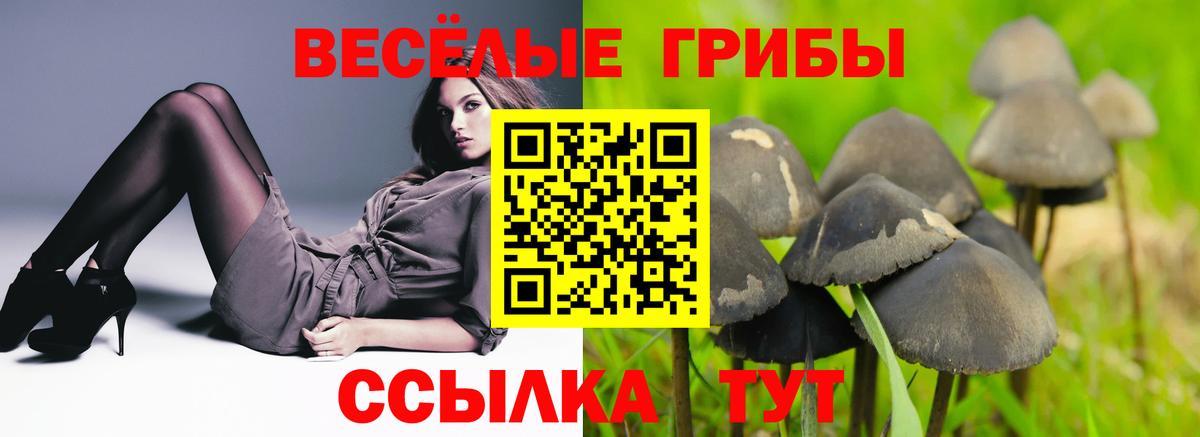 Псилоцибиновые грибы Psilocybine cubensis  Галлюциногенные грибы мицелий  Гулькевичи  Вход с VPN 